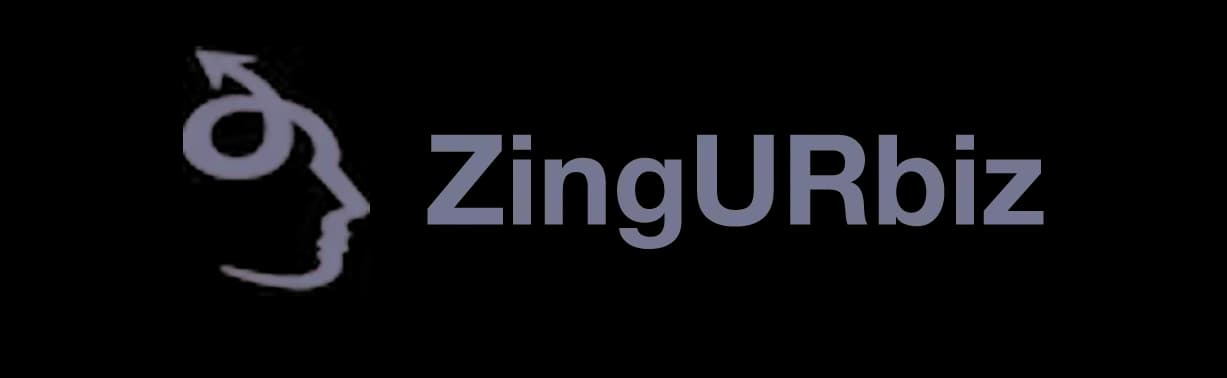 zingurbiz